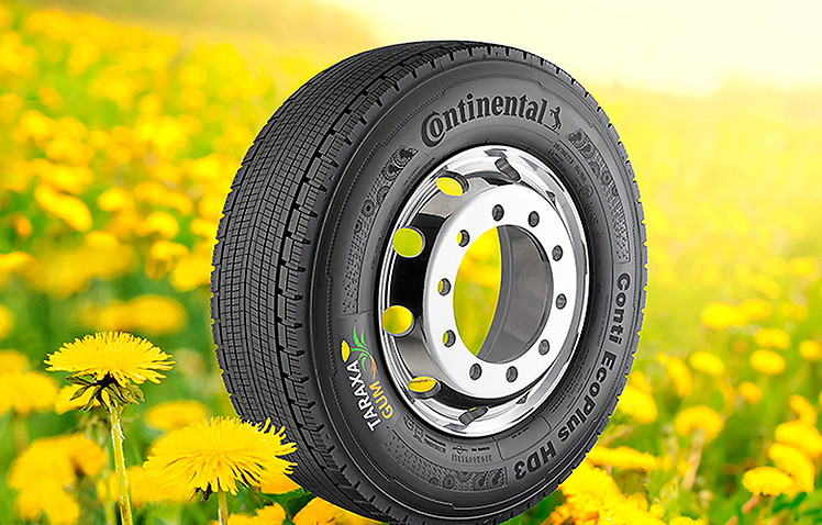 CONTINENTAL начинает строительство центра по созданию каучука из одуванчиков CONTINENTAL начинает строительство центра по созданию каучука из одуванчиков
